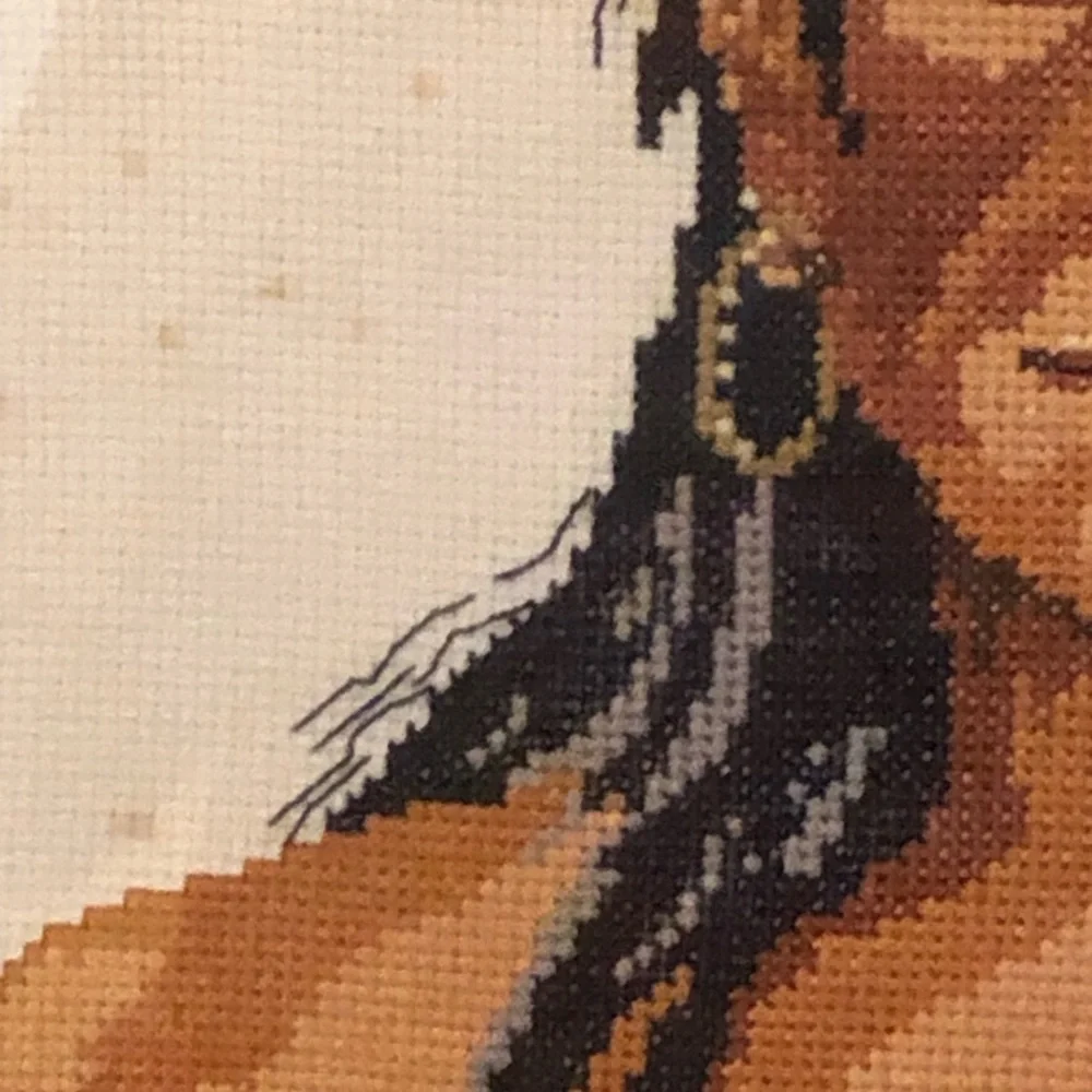 Vintage Framed Cross-Stitch Portrait of Native American Man